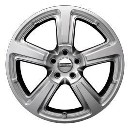 RADIUS R15 Shiny Silver Naked