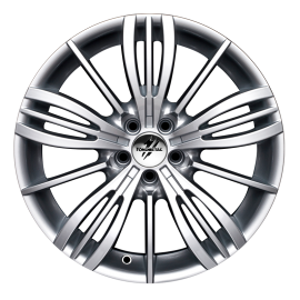 TPG1 Silver